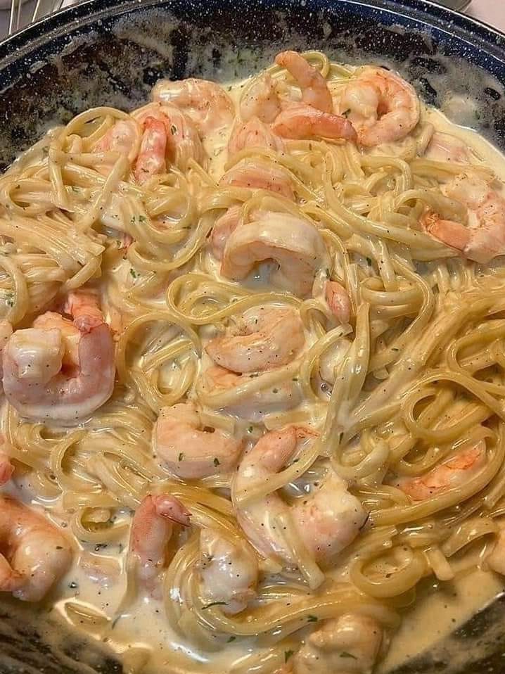 Spaghetti with Shrimp and white sauce