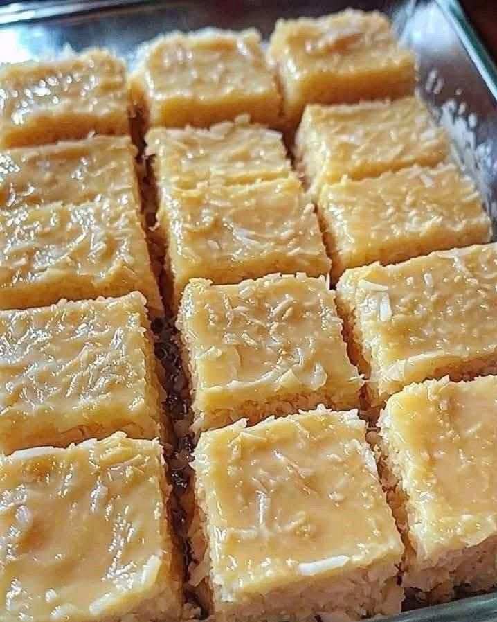Coconut Milk Custard Squares